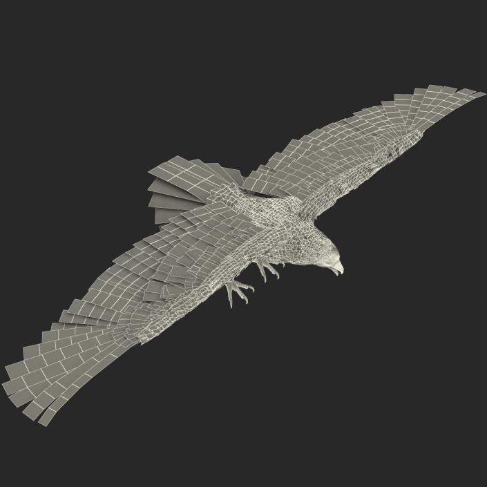 3D Imperial Eagle Rigged