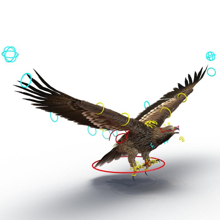 3D Imperial Eagle Rigged