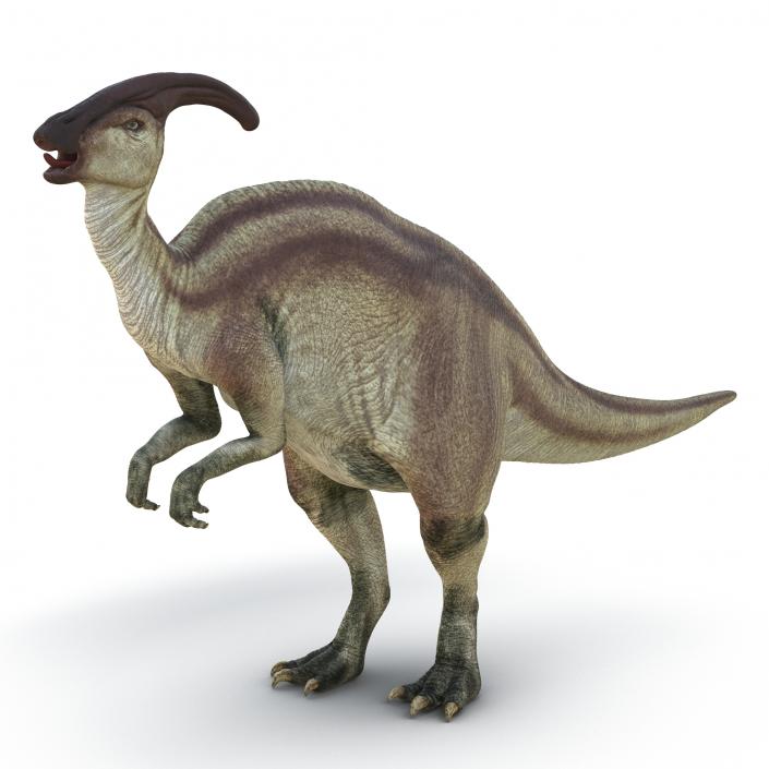 Parasaurolophus Rigged 3D