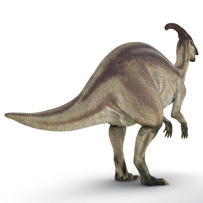 Parasaurolophus Rigged 3D