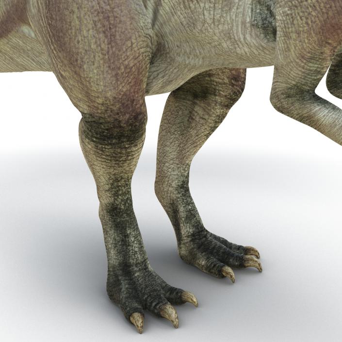 Parasaurolophus Rigged 3D