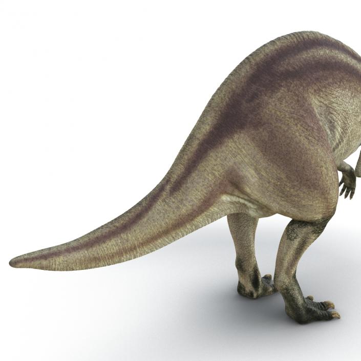 Parasaurolophus Rigged 3D