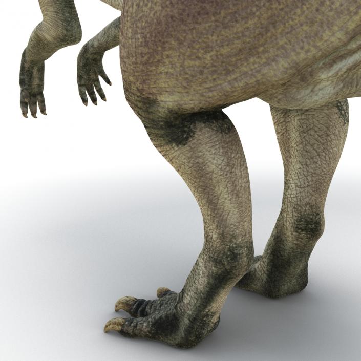 Parasaurolophus Rigged 3D