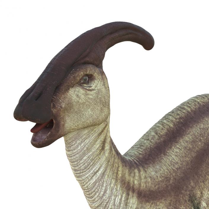 Parasaurolophus Rigged 3D