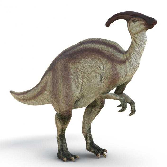 Parasaurolophus Rigged 3D