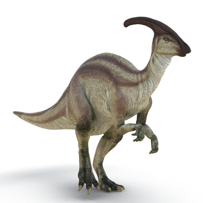 Parasaurolophus Rigged 3D