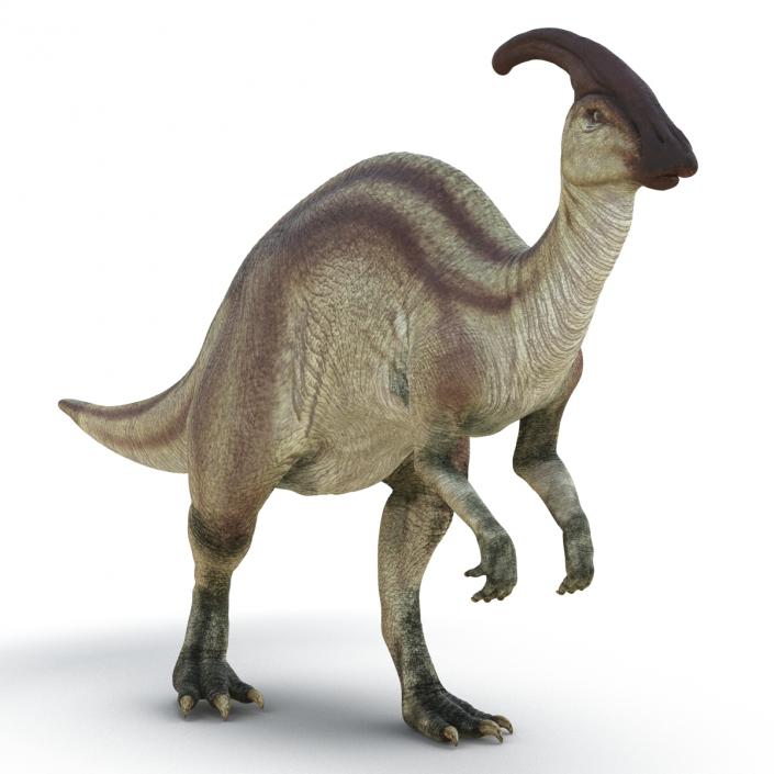 Parasaurolophus Rigged 3D