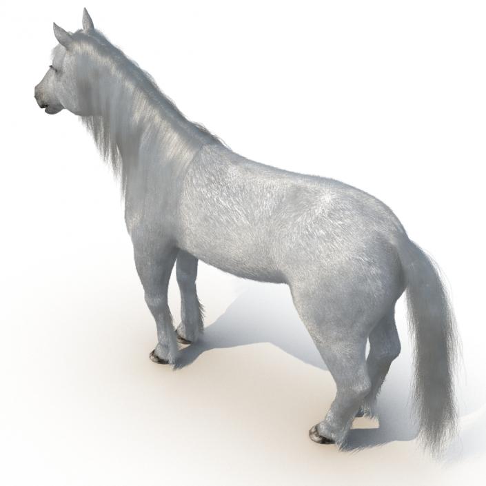 White Horse with Fur 2 3D