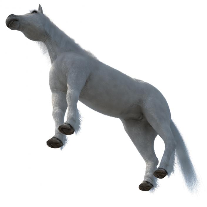 White Horse with Fur 2 3D