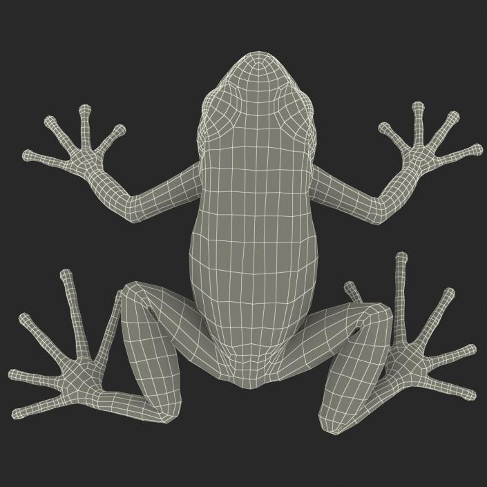 3D model Mantella Frog Pose 2