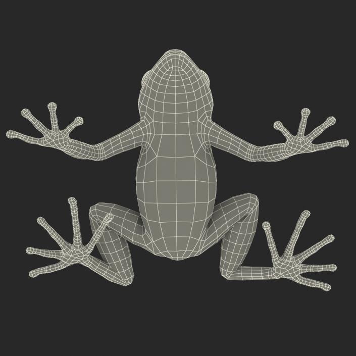 3D model Mantella Frog Pose 2