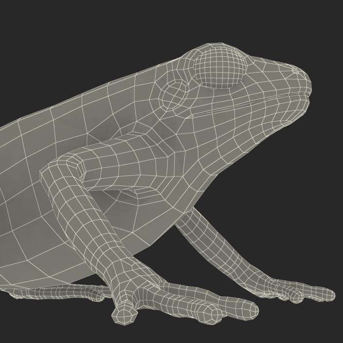 3D model Mantella Frog Pose 2