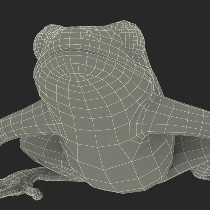 3D model Mantella Frog Pose 2