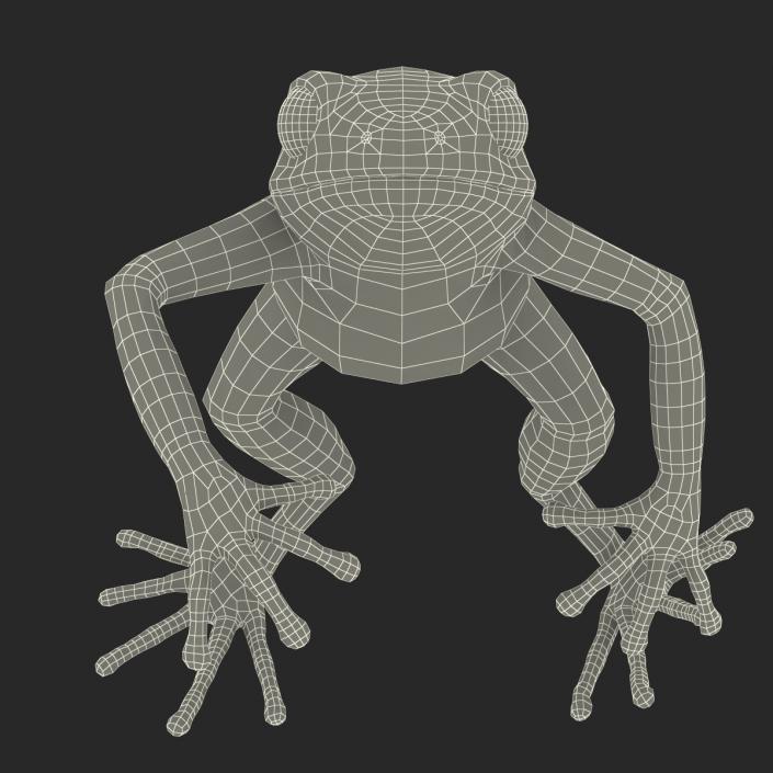 3D model Mantella Frog Pose 4