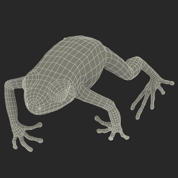 3D model Mantella Frog Pose 4