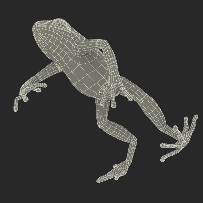 3D model Mantella Frog Pose 4