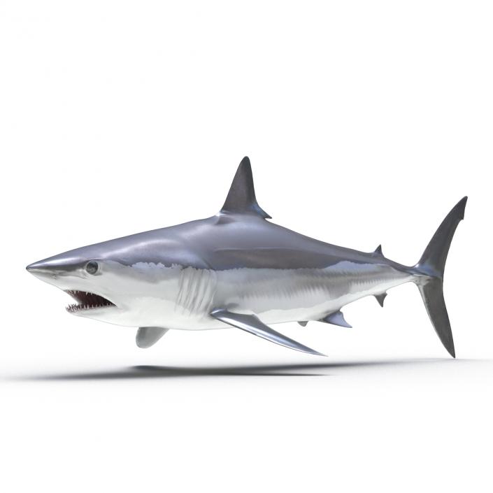 3D Shortfin Mako Shark Rigged