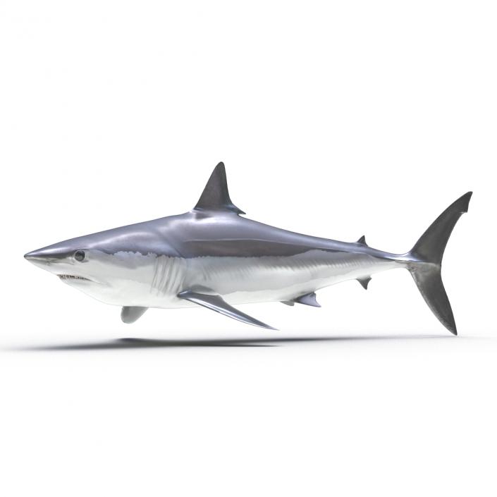 3D Shortfin Mako Shark Rigged