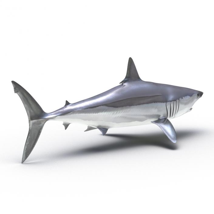 3D Shortfin Mako Shark Rigged