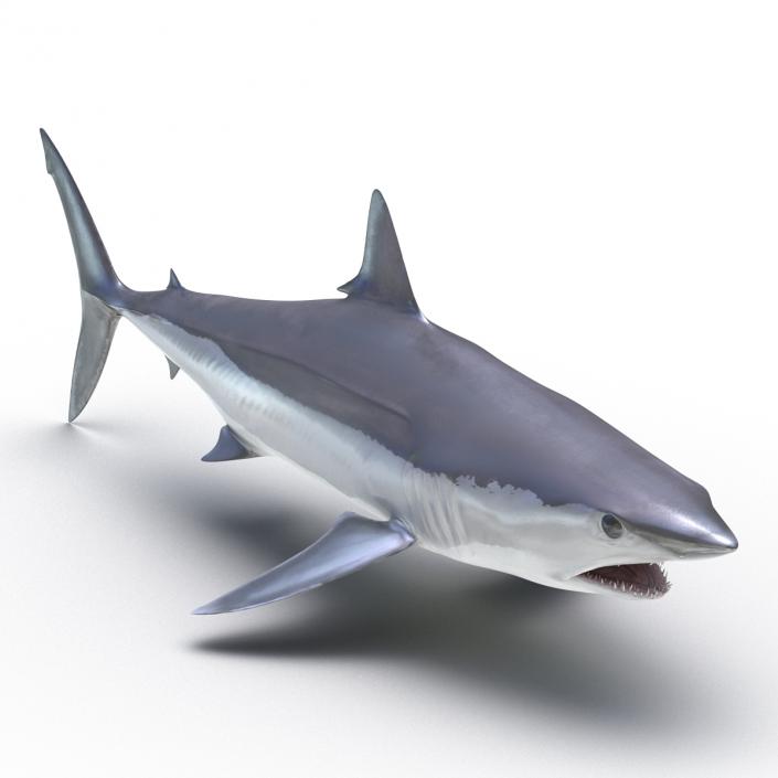 3D Shortfin Mako Shark Rigged