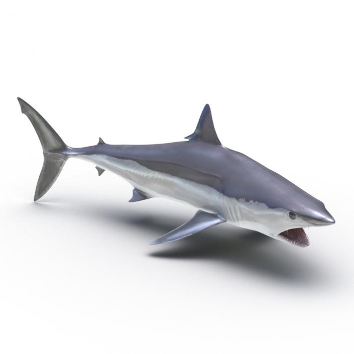 3D Shortfin Mako Shark Rigged