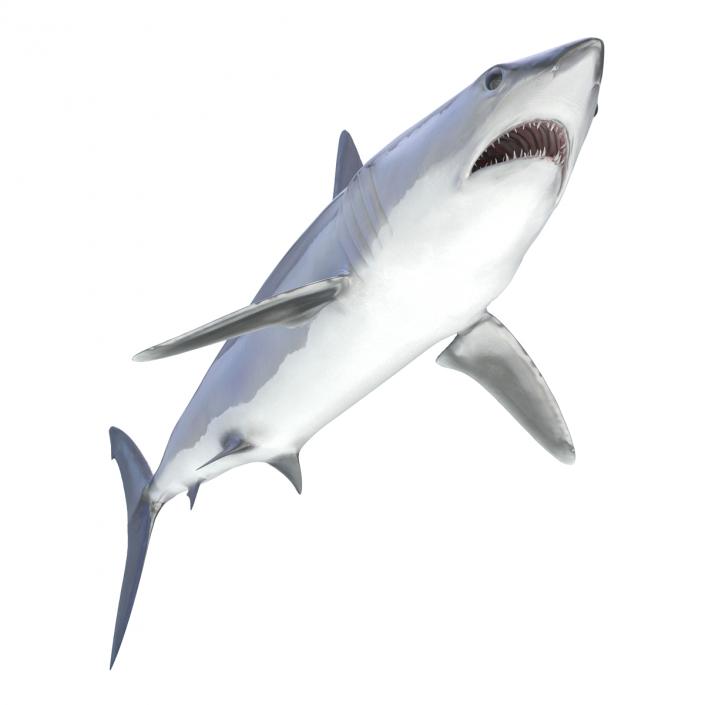 3D Shortfin Mako Shark Rigged