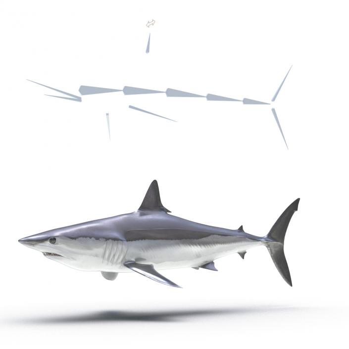 3D Shortfin Mako Shark Rigged