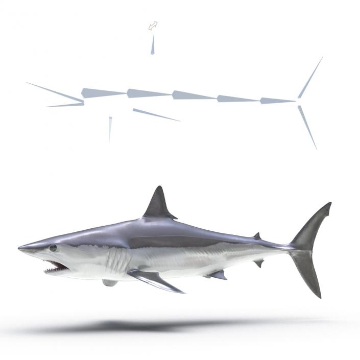 3D Shortfin Mako Shark Rigged