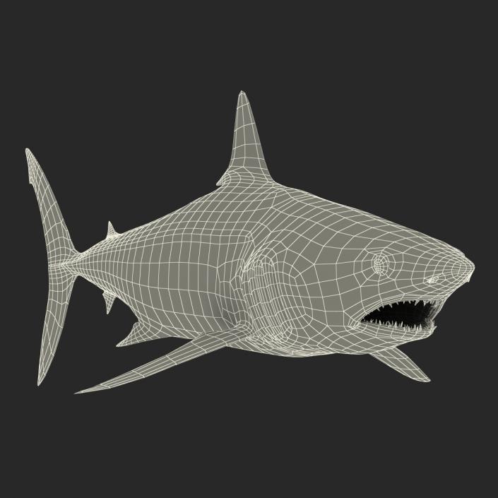 3D Shortfin Mako Shark Rigged