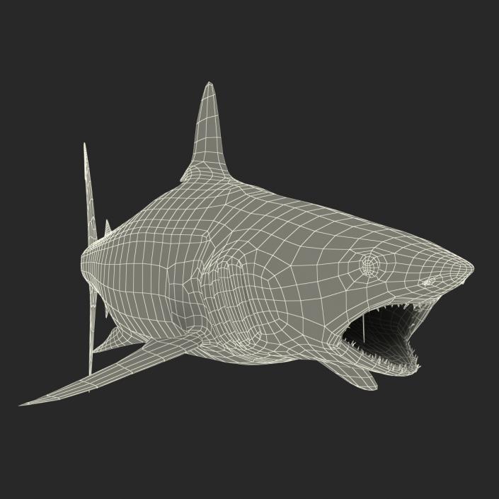 3D Shortfin Mako Shark Rigged