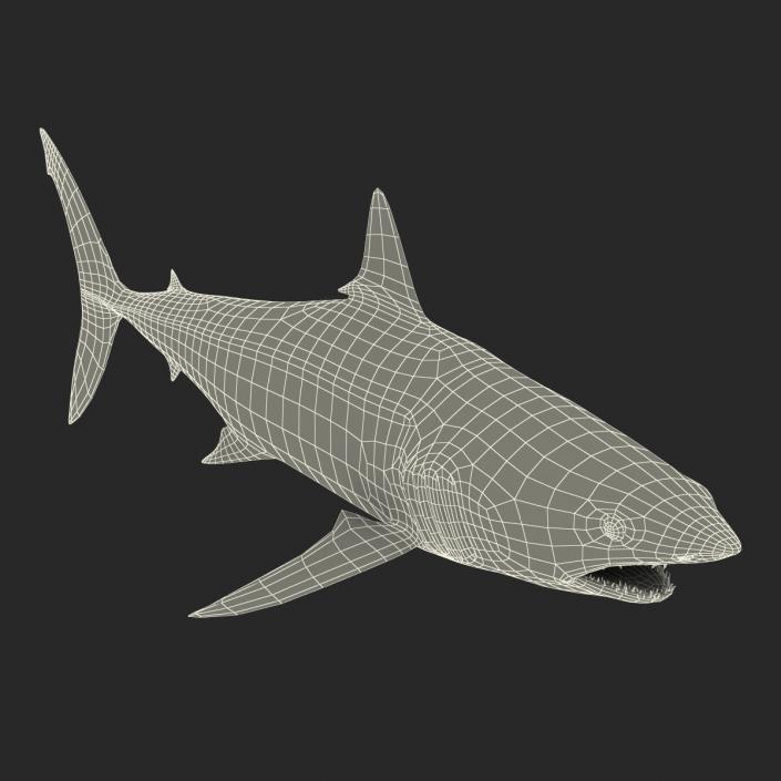 3D Shortfin Mako Shark Rigged