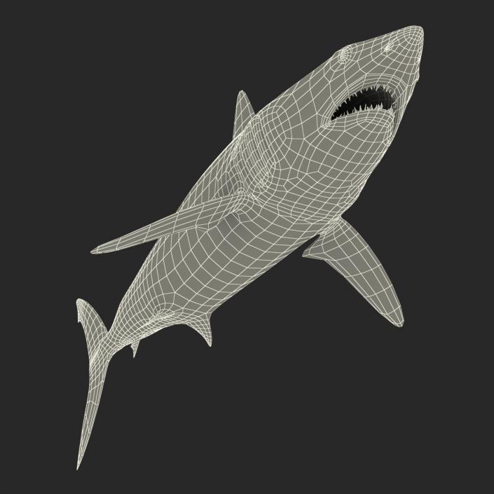 3D Shortfin Mako Shark Rigged