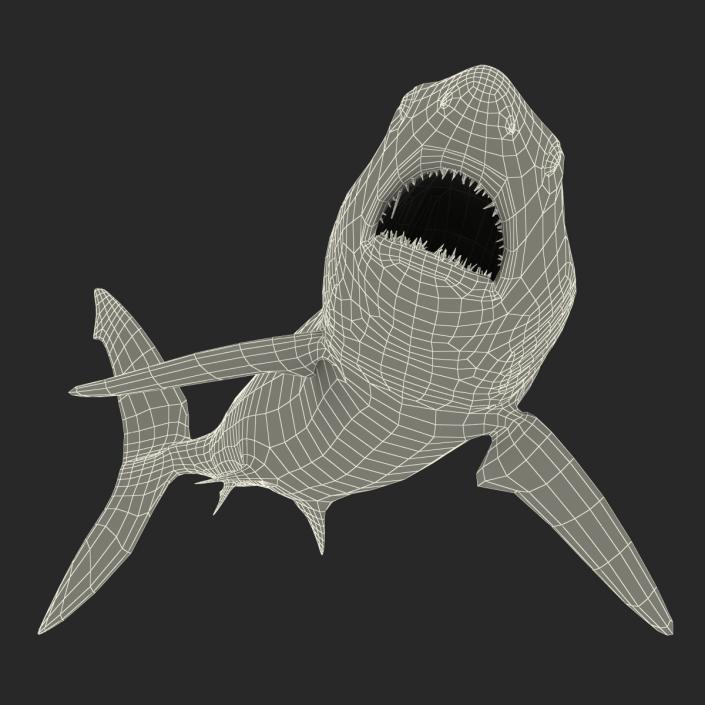 3D Shortfin Mako Shark Rigged