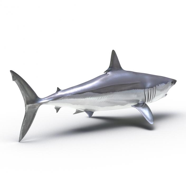 Shortfin Mako Shark 3D model