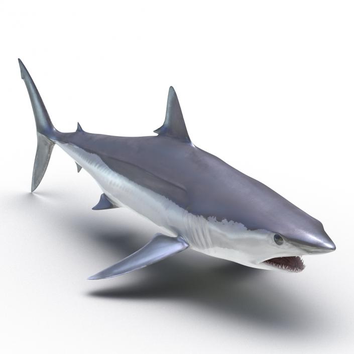 Shortfin Mako Shark 3D model