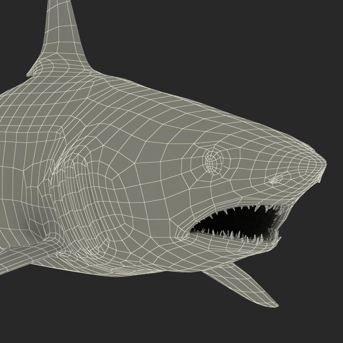 Shortfin Mako Shark 3D model