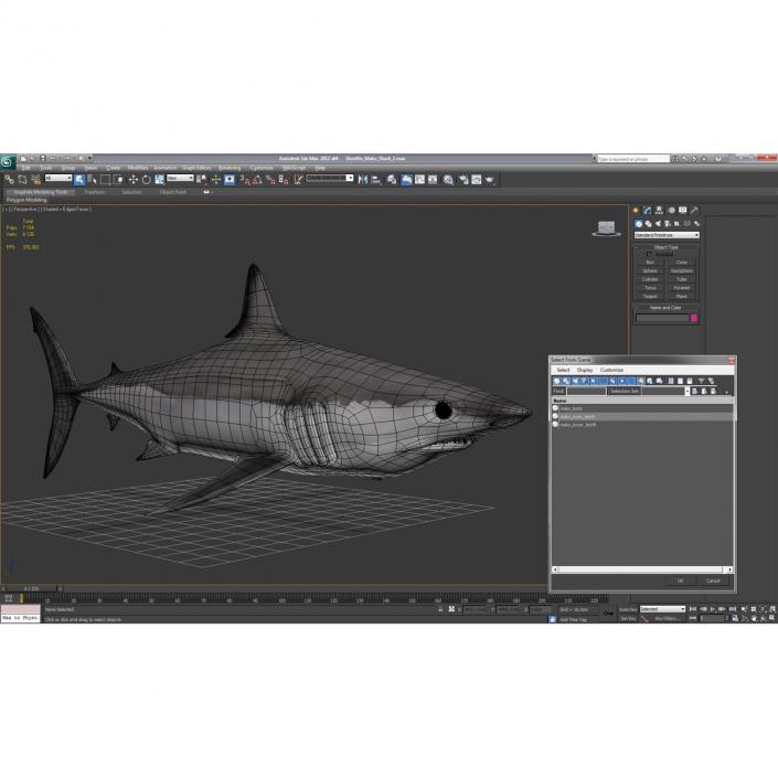 3D Shortfin Mako Shark 2