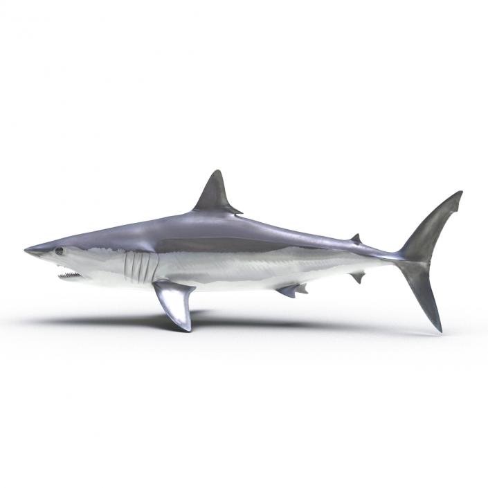 3D Shortfin Mako Shark Pose 2