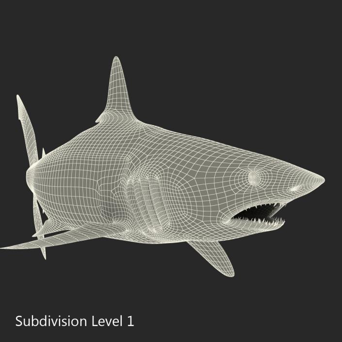 3D Shortfin Mako Shark Pose 2