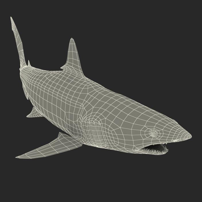 3D Shortfin Mako Shark Pose 2