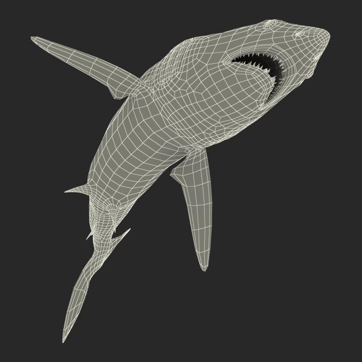 3D Shortfin Mako Shark Pose 2