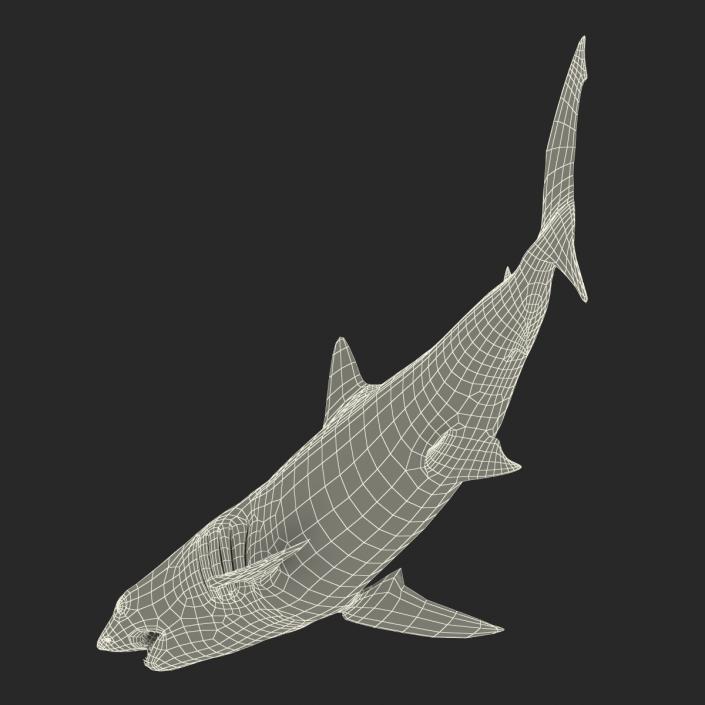 3D Shortfin Mako Shark Pose 2