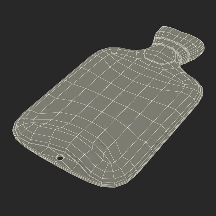 3D Hot Water Bottle