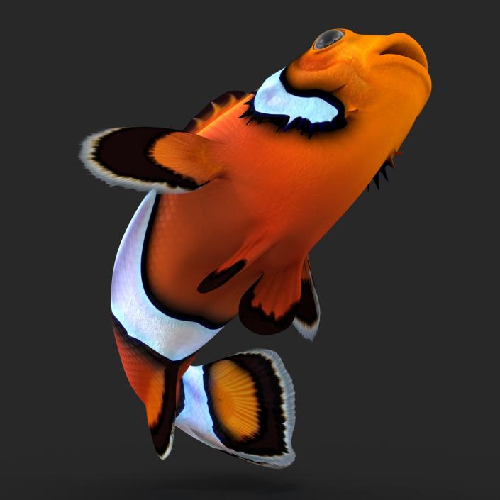 3D Clownfish Rigged