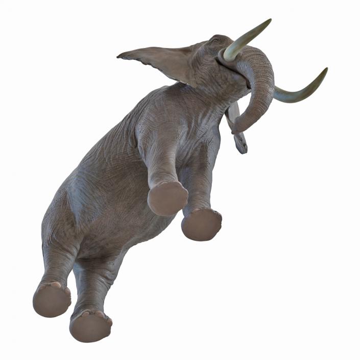 3D model Elephant