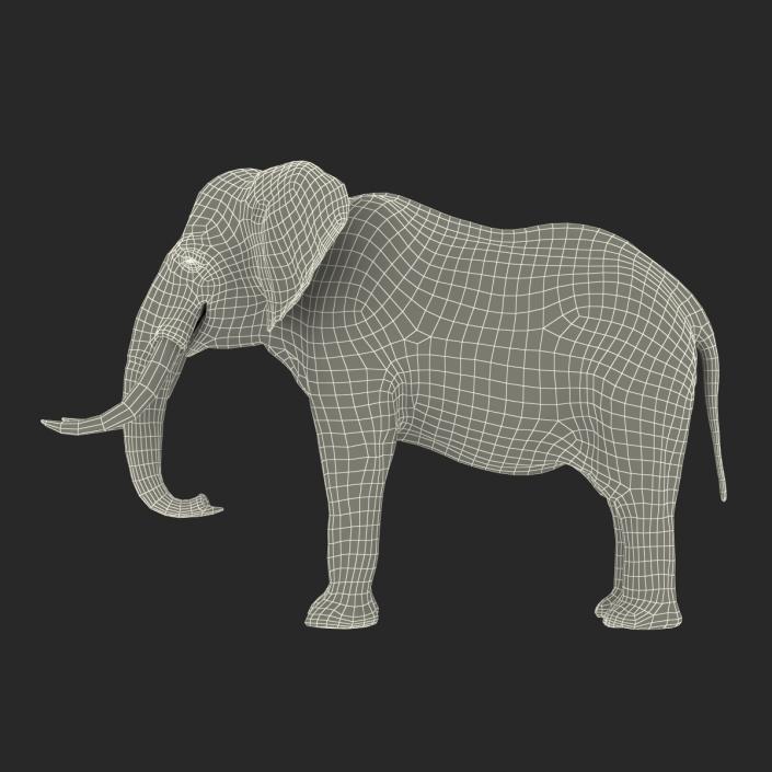 3D model Elephant