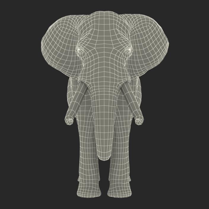 3D model Elephant