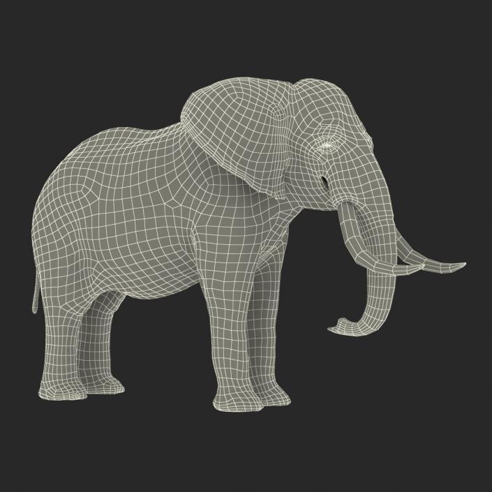 3D model Elephant