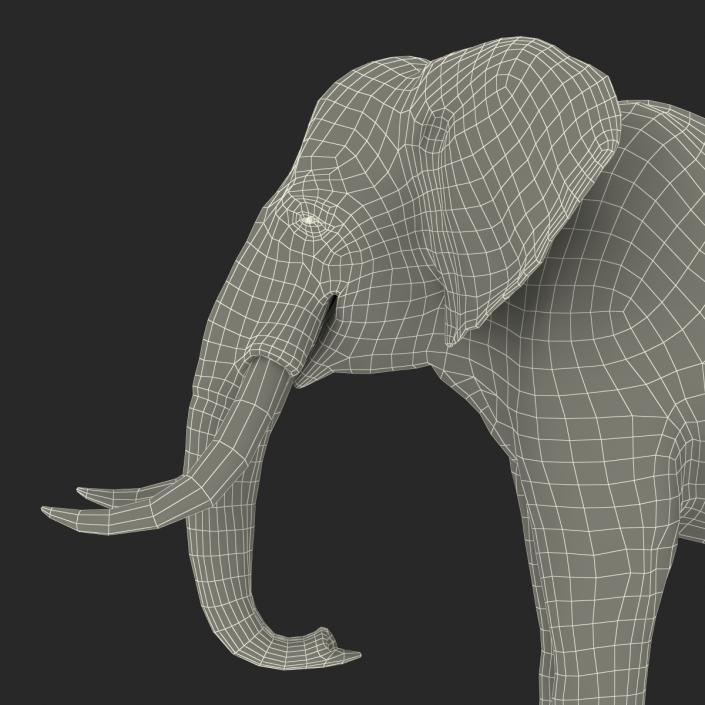 3D model Elephant