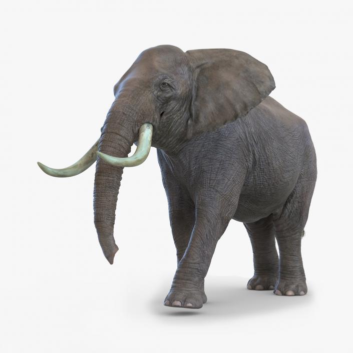 3D Elephant Walking Pose